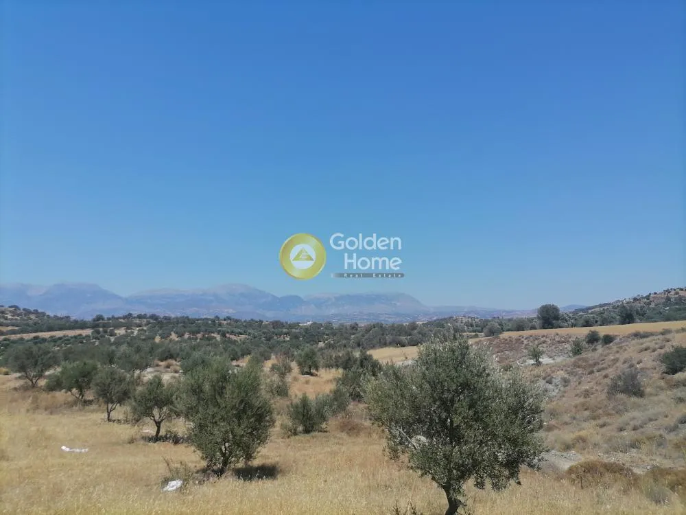 Garden - Buildable Plot with Olive Trees in Phaistos