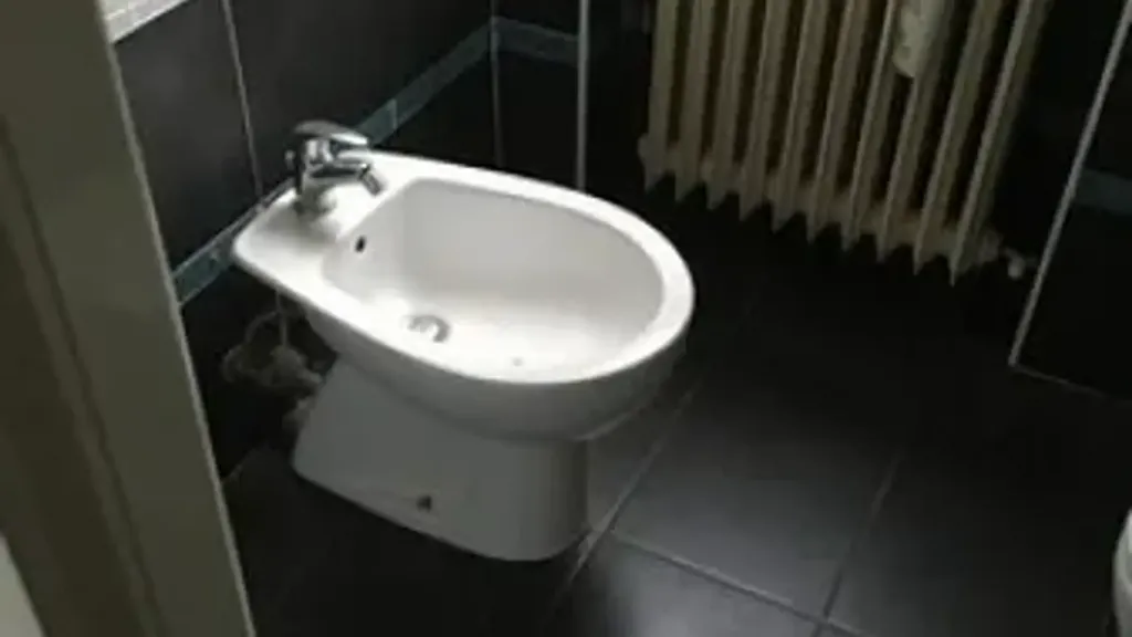 Vannitoad - Apartment with Balcony in Cesena