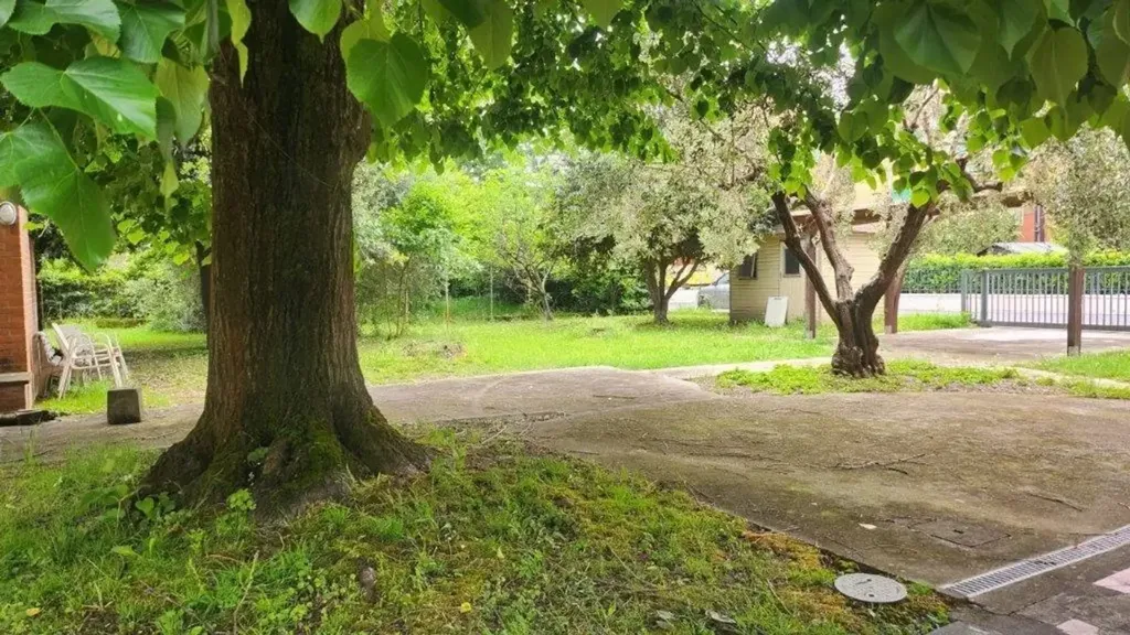 Aed - Spacious Detached House with Garden in Calcinaia