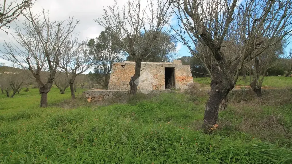 Jardin - Restoration-Ready Trullo with Land in Ostuni