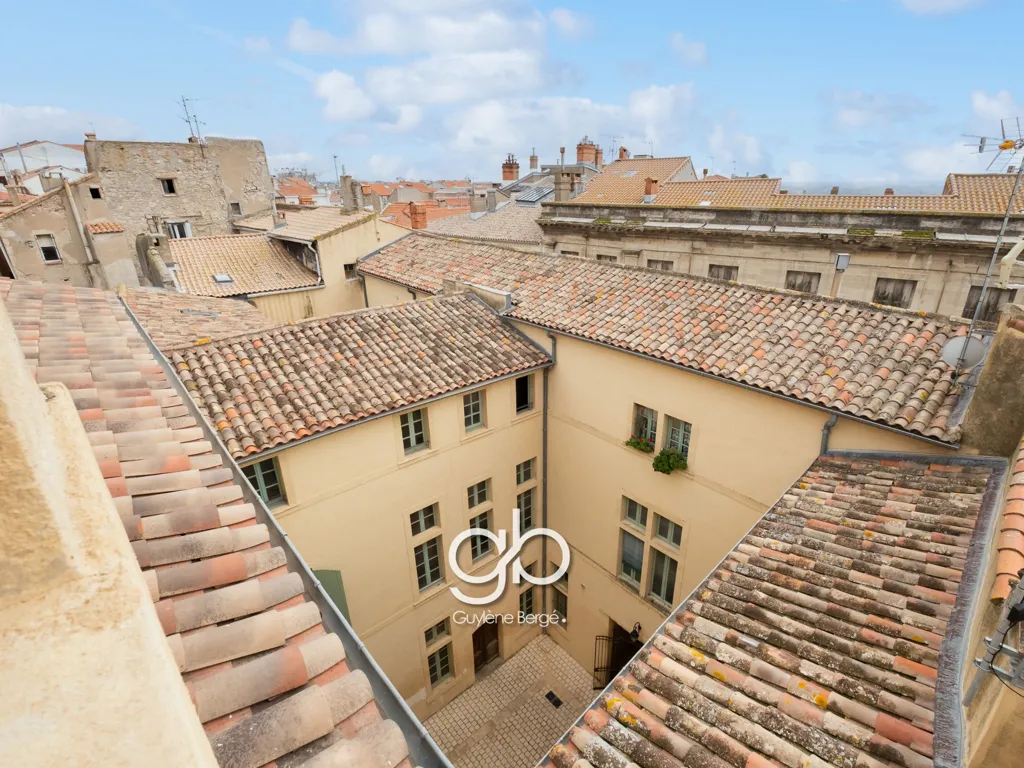 Jardin - Duplex T3 de Caractère dans un Hôtel Particulier à Béziers