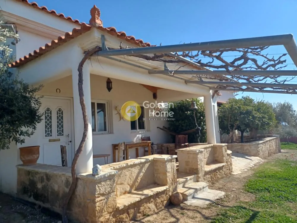 Terrass - Agricultural Plot with Panoramic View in Loutraki