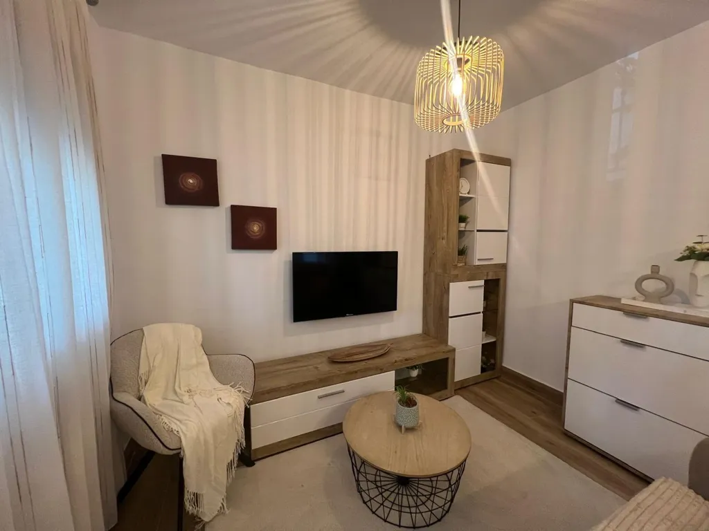 Séjour - Reformed Flat in Quiet Area, Pau 2