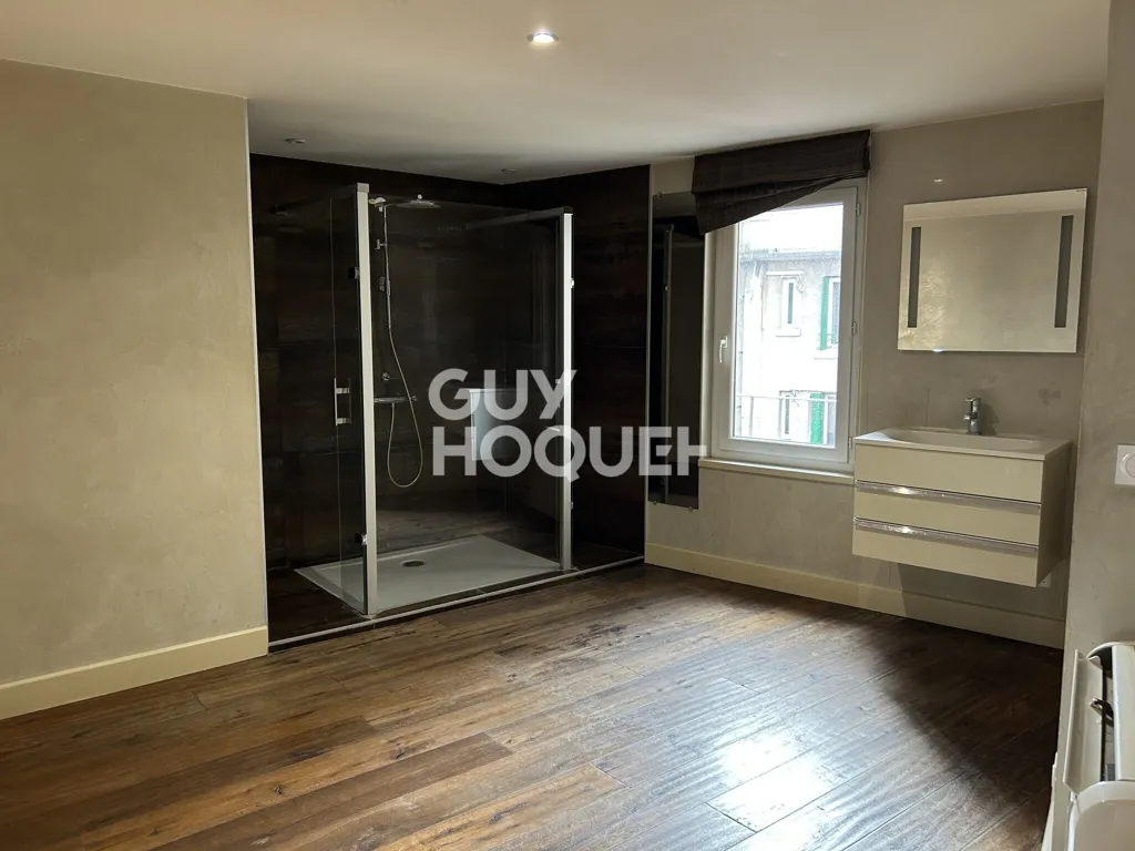Vannitoad - Triplex Apartment in City Centre of Valence