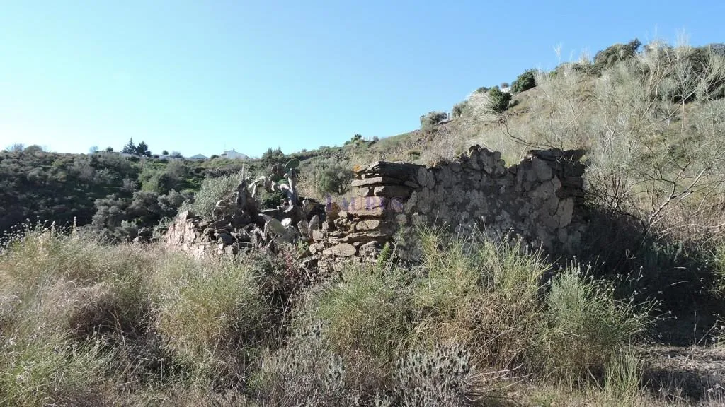 Jardin - Traditional Finca with Mountain Views in Sayalonga