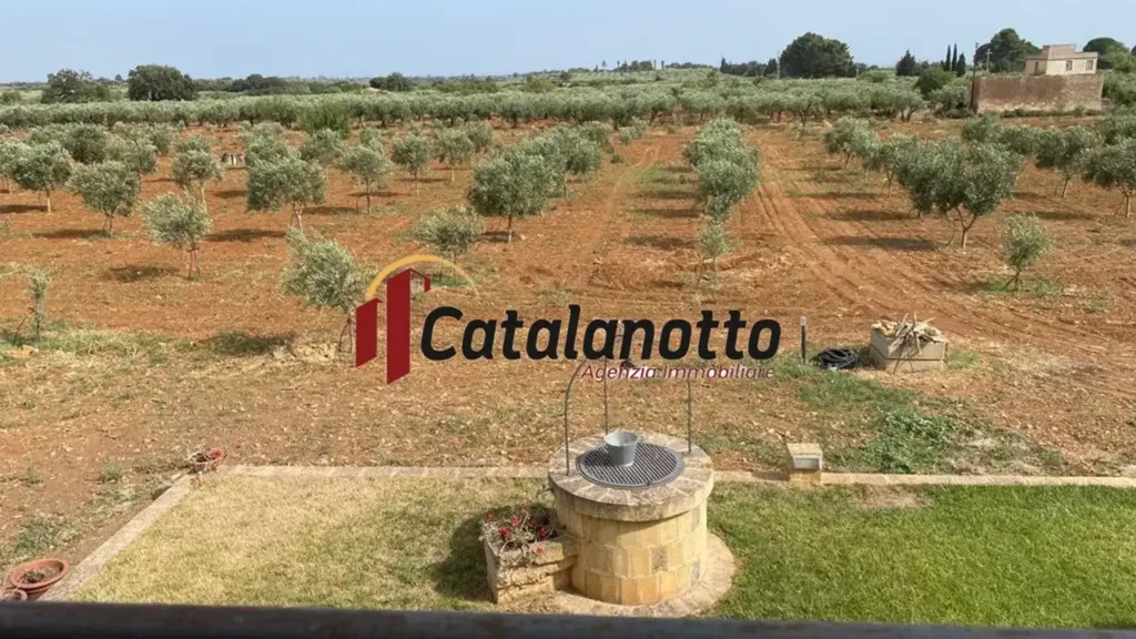 Aerial - Villa with Olive Grove in Castelvetrano