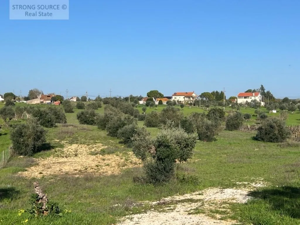 Jardin - Luxury Farmhouse with Pool in Ribatejo