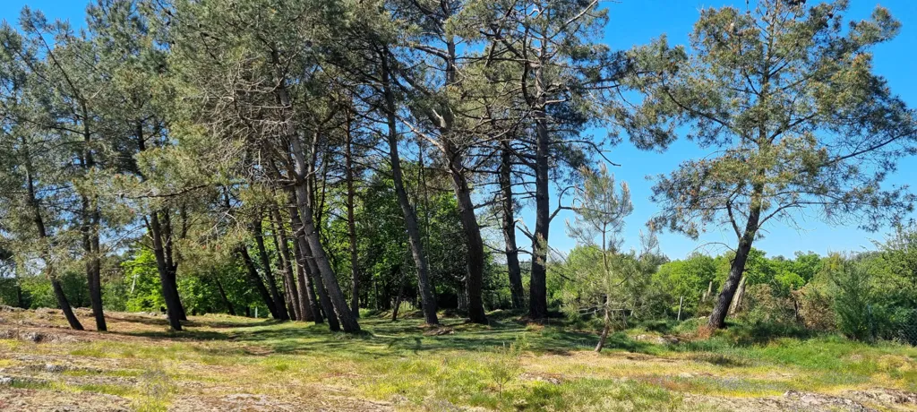 Jardin - Maison au Calme avec Jardin à Talensac