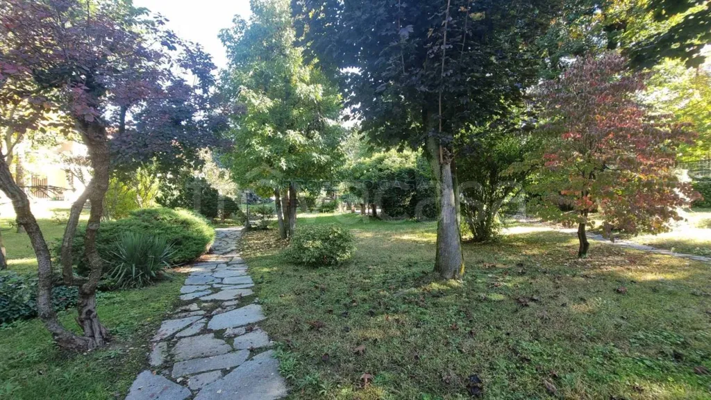 Jardin - Semi-detached Villa with Garden in Bra