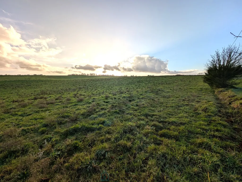 Jardin - Maison avec Terrain et Bâtiments Annexes à Baud