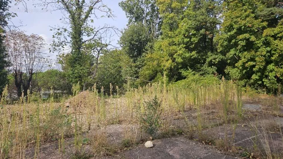 Jardin - Terrain avec Vue Dégagée à Saint-Vallier-De-Thiey
