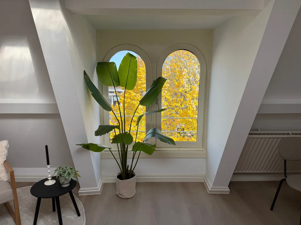 Soggiorno - Studio near Wilhelminapark in Utrecht