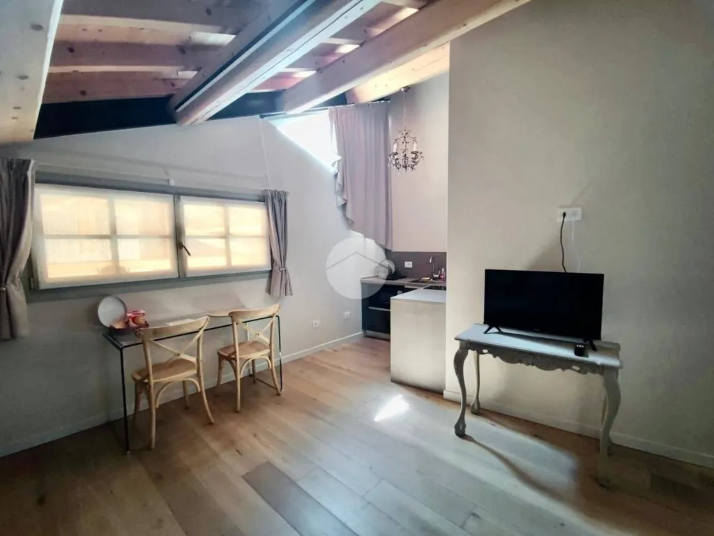 Toad - Arched Monolocale in Historic Villa, Tregnago