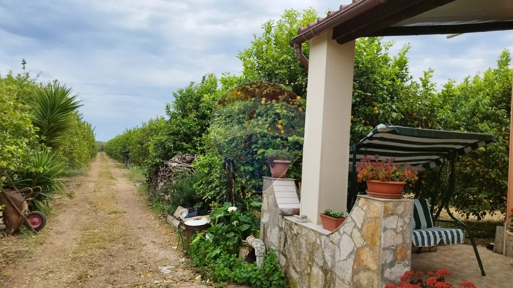 Terrasse - Independent House with Terrace in Noto