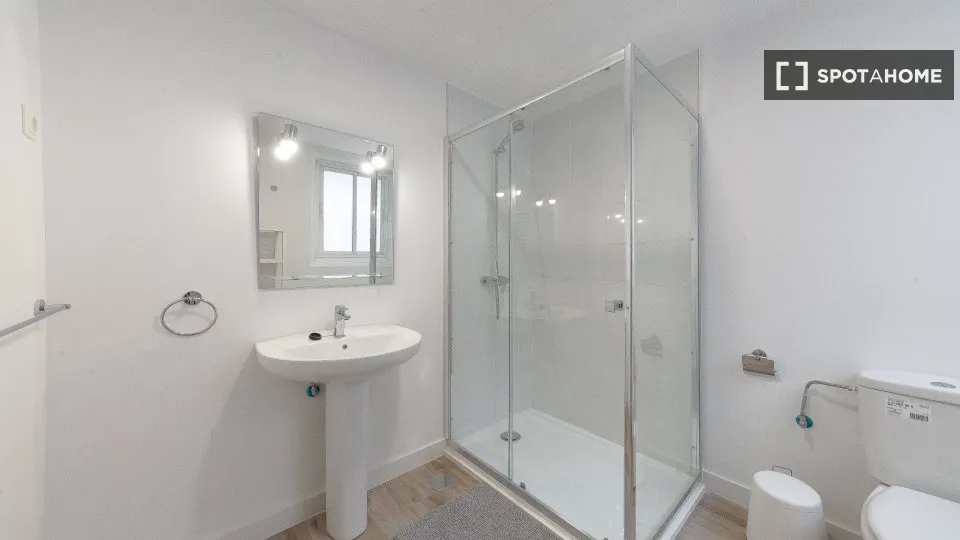 Vannitoad - Shared Flat with Modern Design in Malasaña