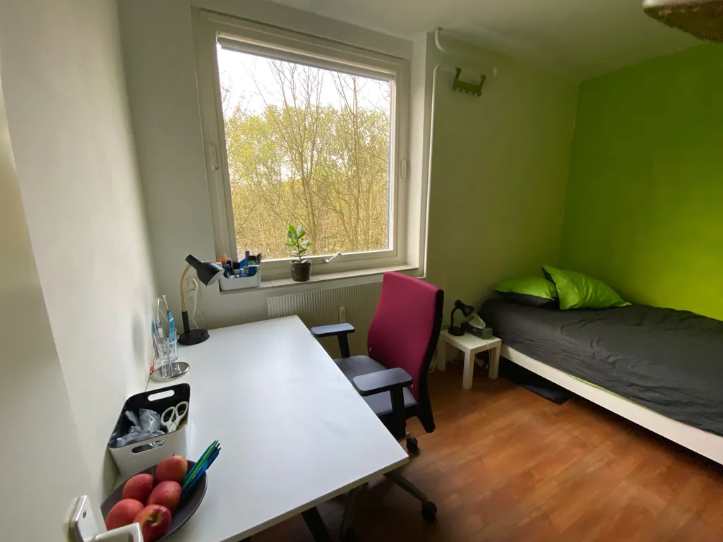 Chambres - Student Room in Shared House, Delft