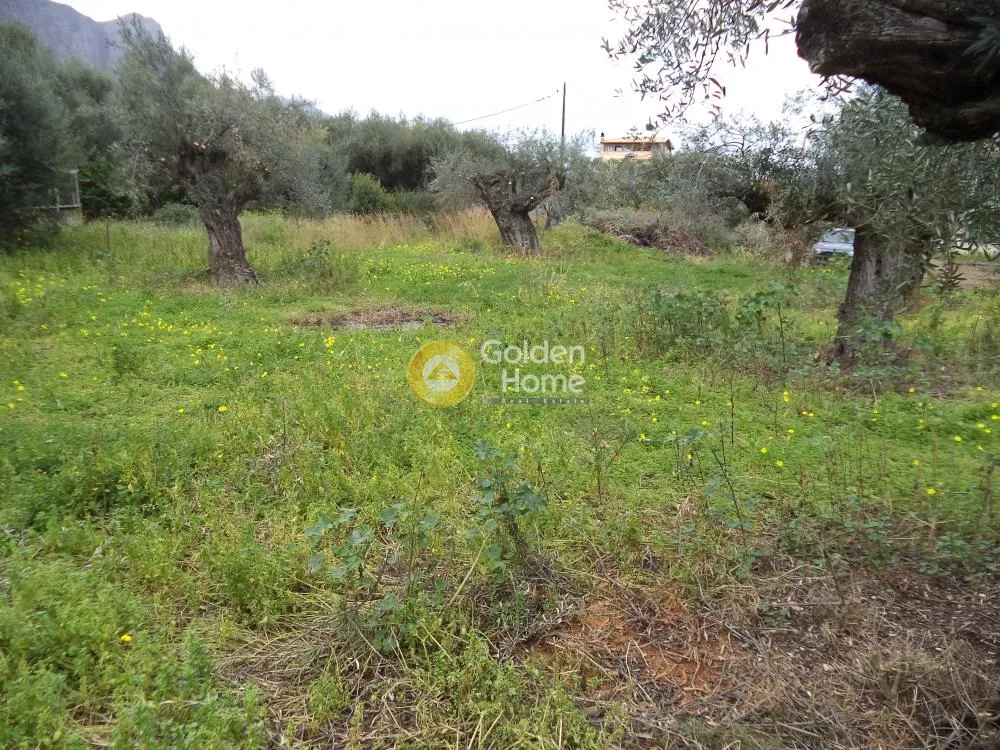 Jardin - Corner Plot with Mountain View in Trapezounta