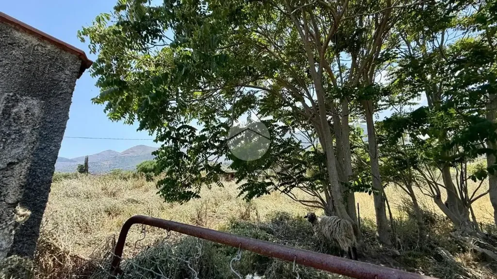 Giardino - Single Villa with Garden in Carini