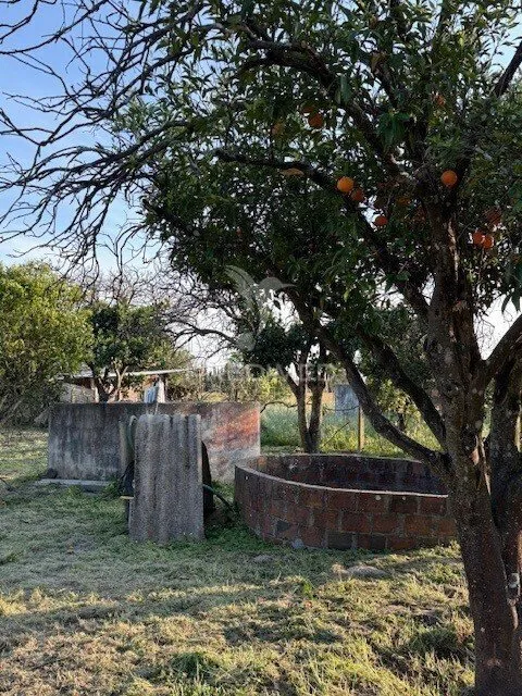 Jardin - Detached House with Fruit Trees in Água Derramada
