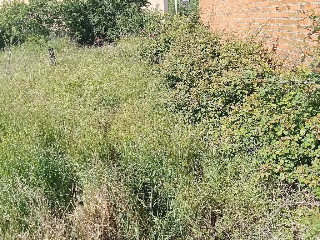 Jardin - Urban Plot for Development in Andavías