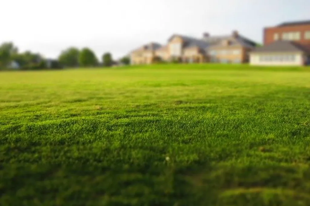 Aed - Plot with Modern House in Piriac-sur-Mer