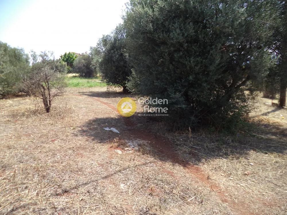 Aed - Plot with Sea View in Akrotiri, Syllion