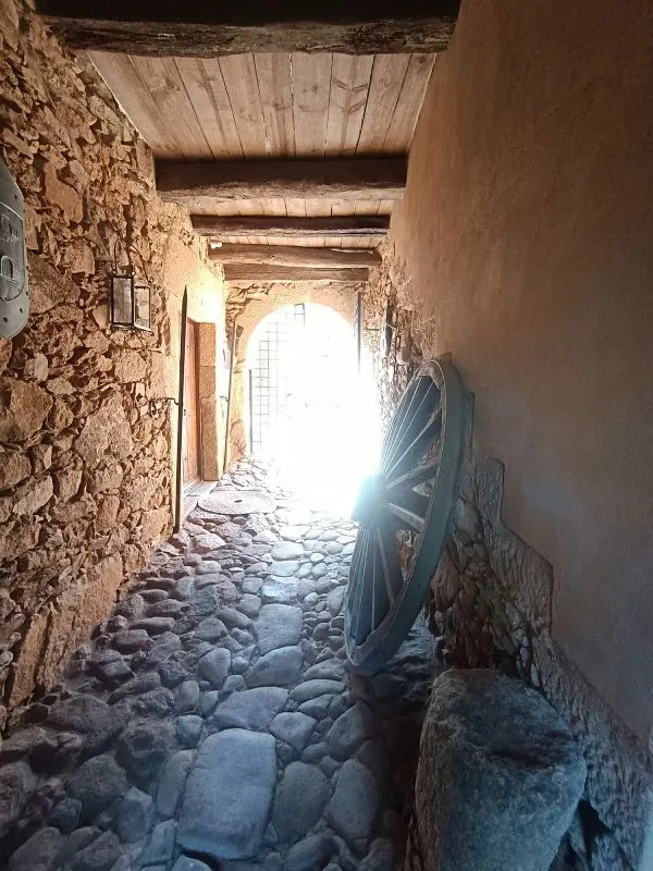 Recibidor - Historic Chalet with Piscina in Sierra De Gata