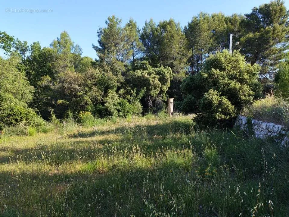 Aed - Buildable Plot with Garden in Lorgues