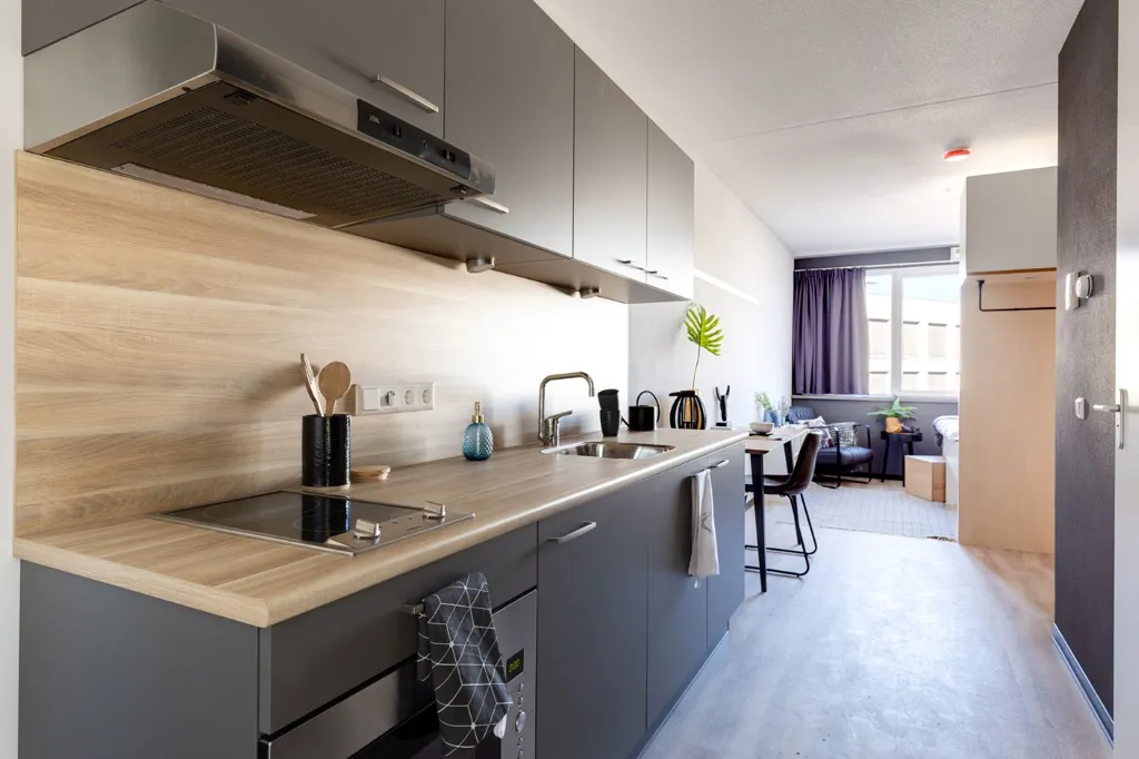 Cuisine - Furnished Studio in Utrecht