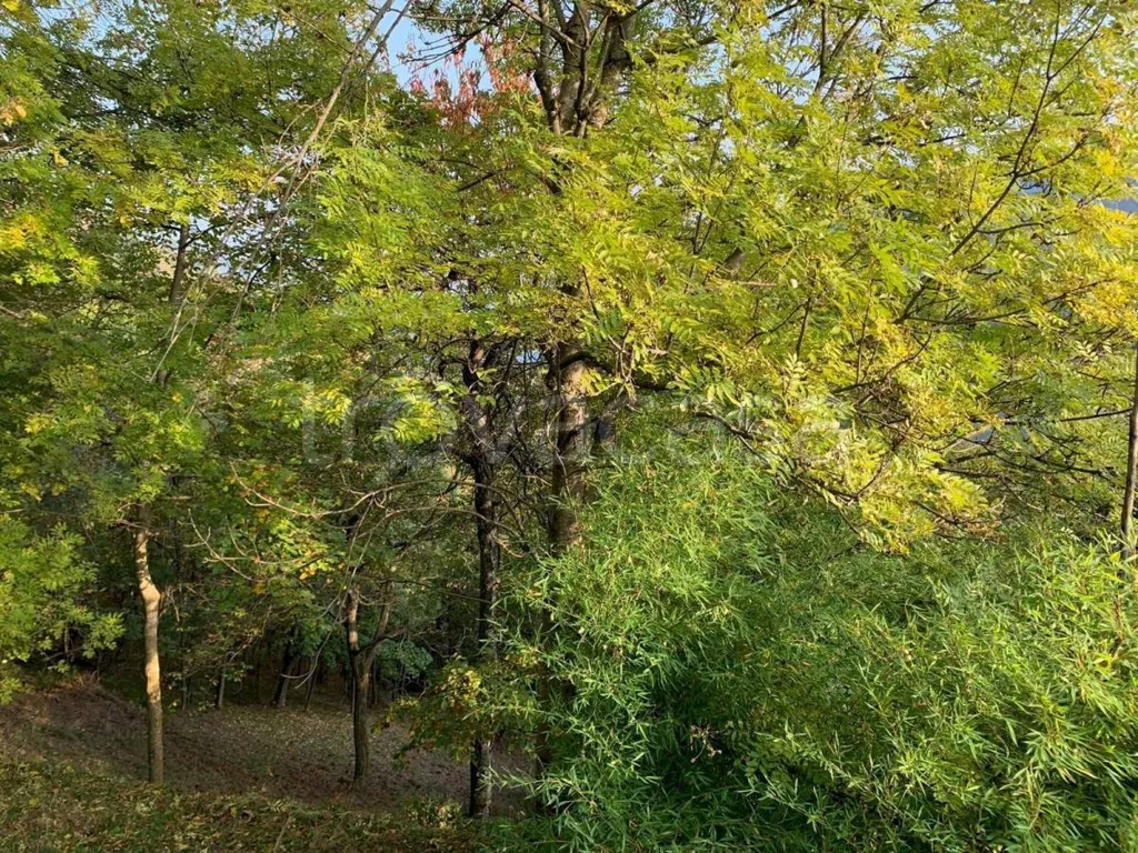 Jardin - Baita with Garden in Brossasco