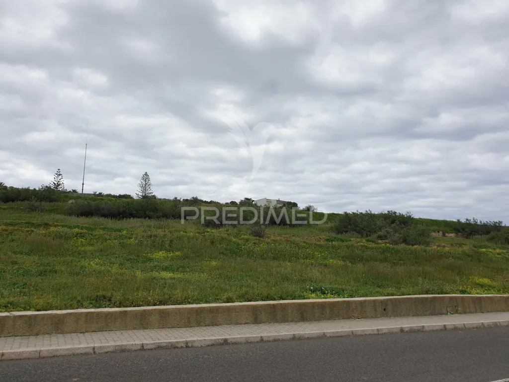 Garden - Flat Land with Sea View in Porto Santo