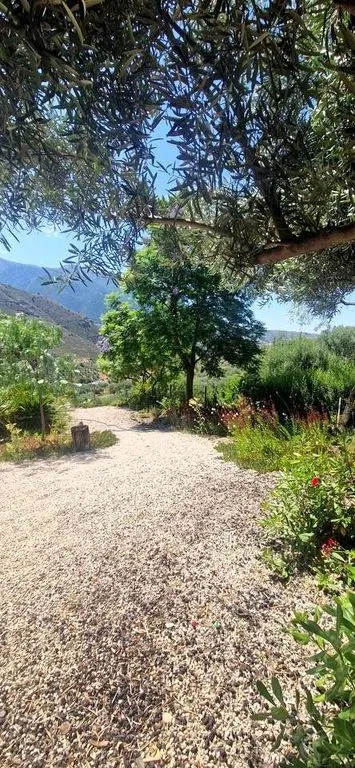 Garden - Detached Country House with Pool in Alcaucín