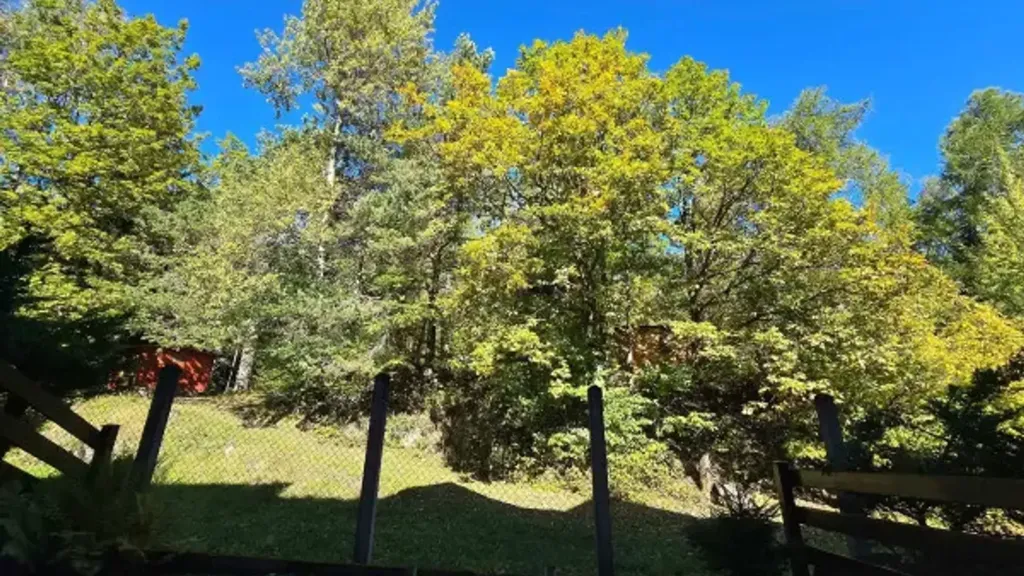 Aed - Rustic Trilocale with Private Gardens in Aprica