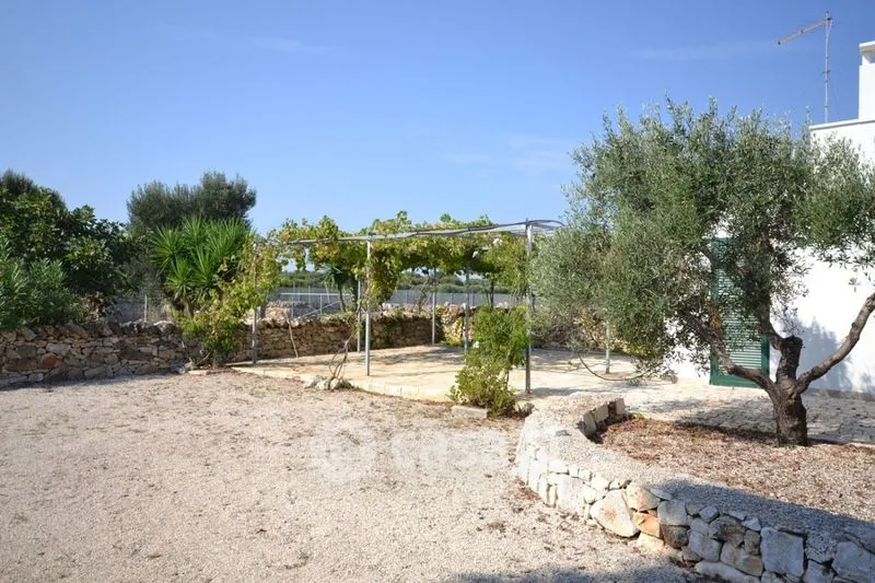 Jardin - Villa with Pool in Morgicchio, Carovigno