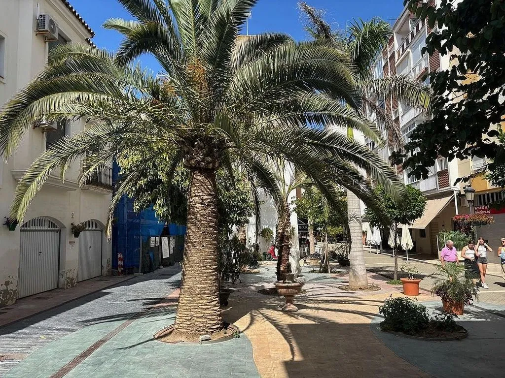 Urban Flat with Rooftop Terrace in Estepona