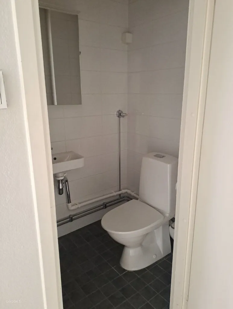 Bagni - Jugend-Style Flat with Sauna in Kallio, Helsinki
