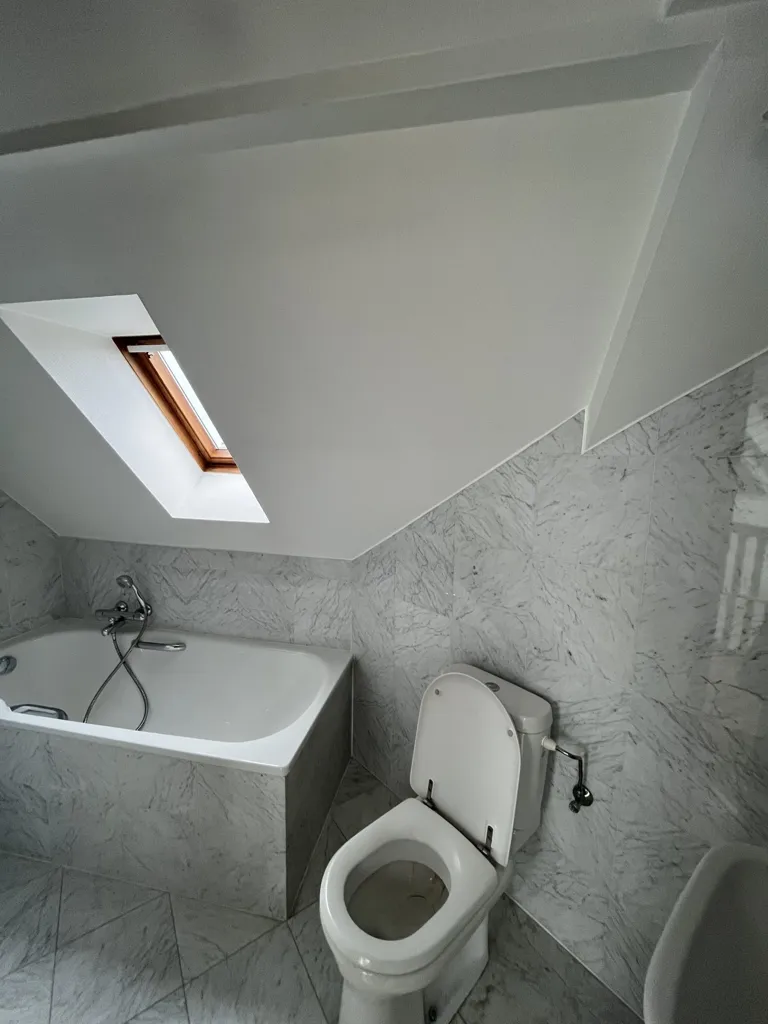Salles de bain - Duplex avec Terrasse à Strasbourg République
