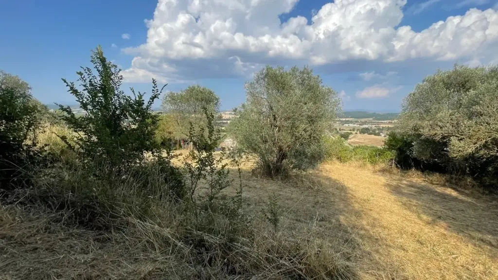 Aed - Casale with Olive Grove near Perugia