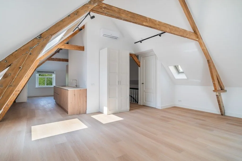Toad - Renovated Loft in Zeeheldenkwartier, The Hague