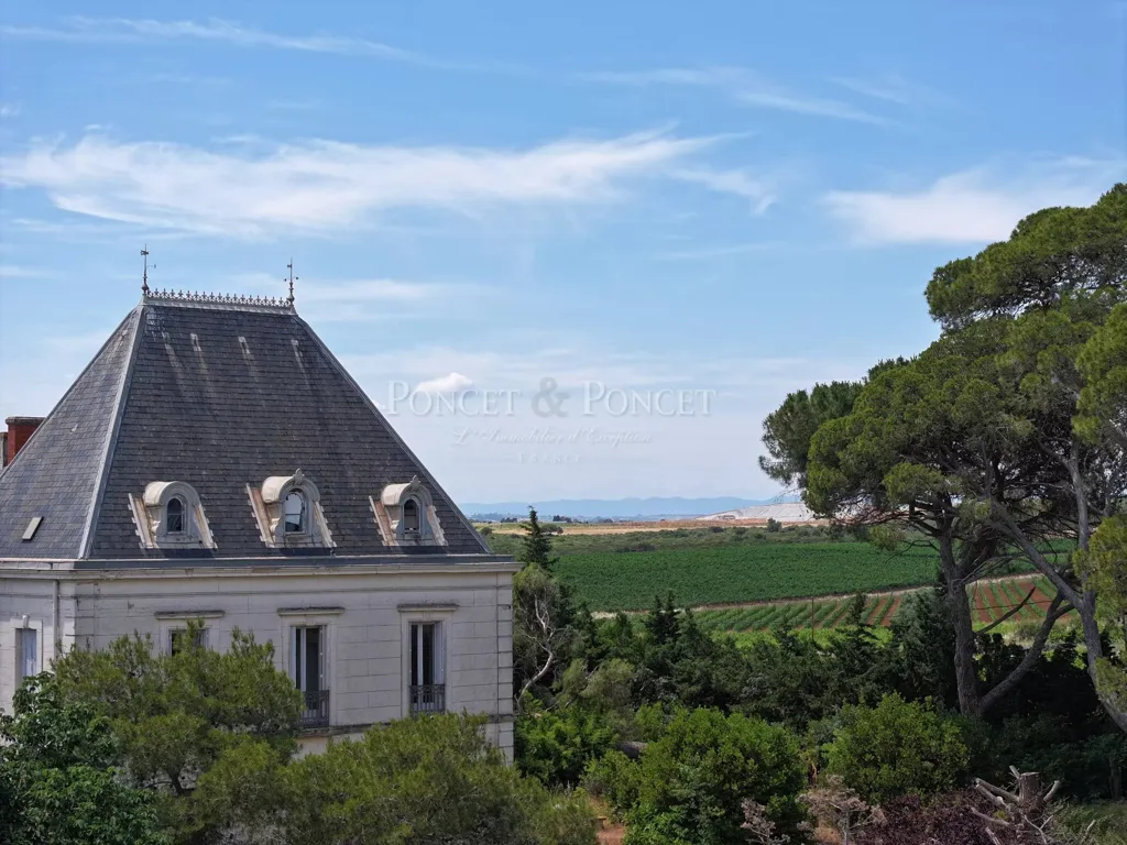Õhuvaade - Vineyard Estate with Pool near Agde