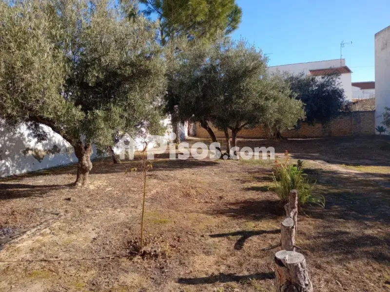 Garden - Rustic House with Garden in La Atalaya