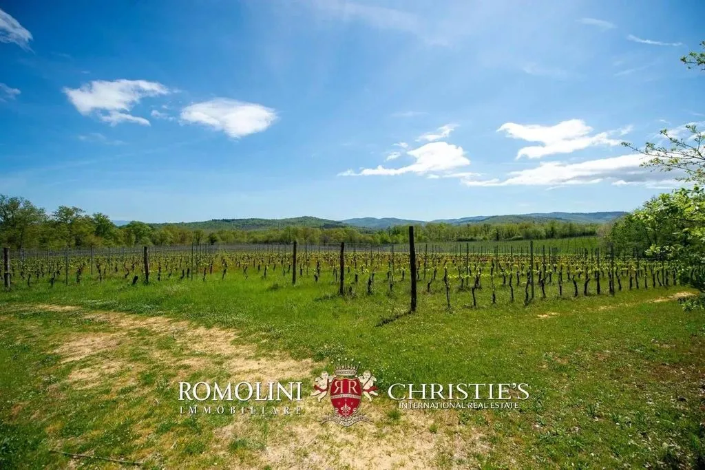 Jardin - Vineyard Estate with Chianti DOCG in Bucine