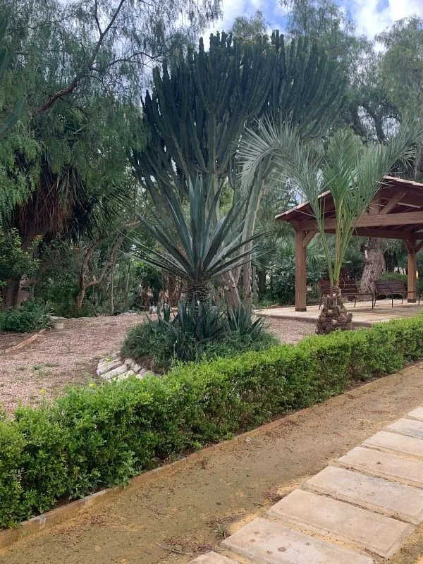 Aed - Duplex with Balcony in Quiet La Palma