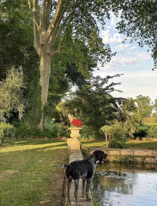 Jardin - Domaine Mas de Bellombre avec Piscine en Provence