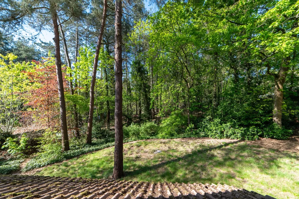 Aed - Villa with Woodland View in Lichtaart
