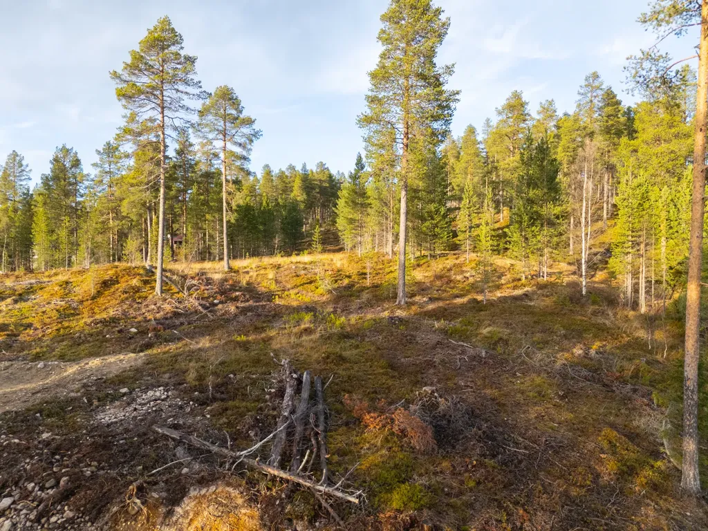 Jardin - Plot with Ski Access in Härjedalen