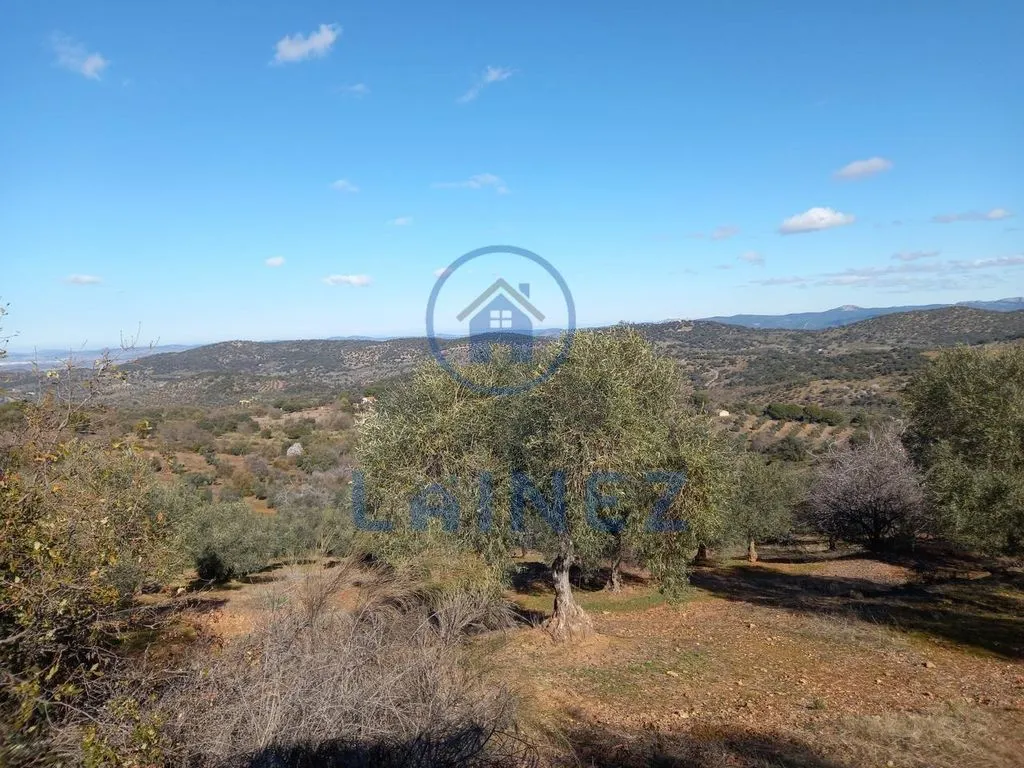 Jardin - Country House with Mountain Views in Villanueva del Rey
