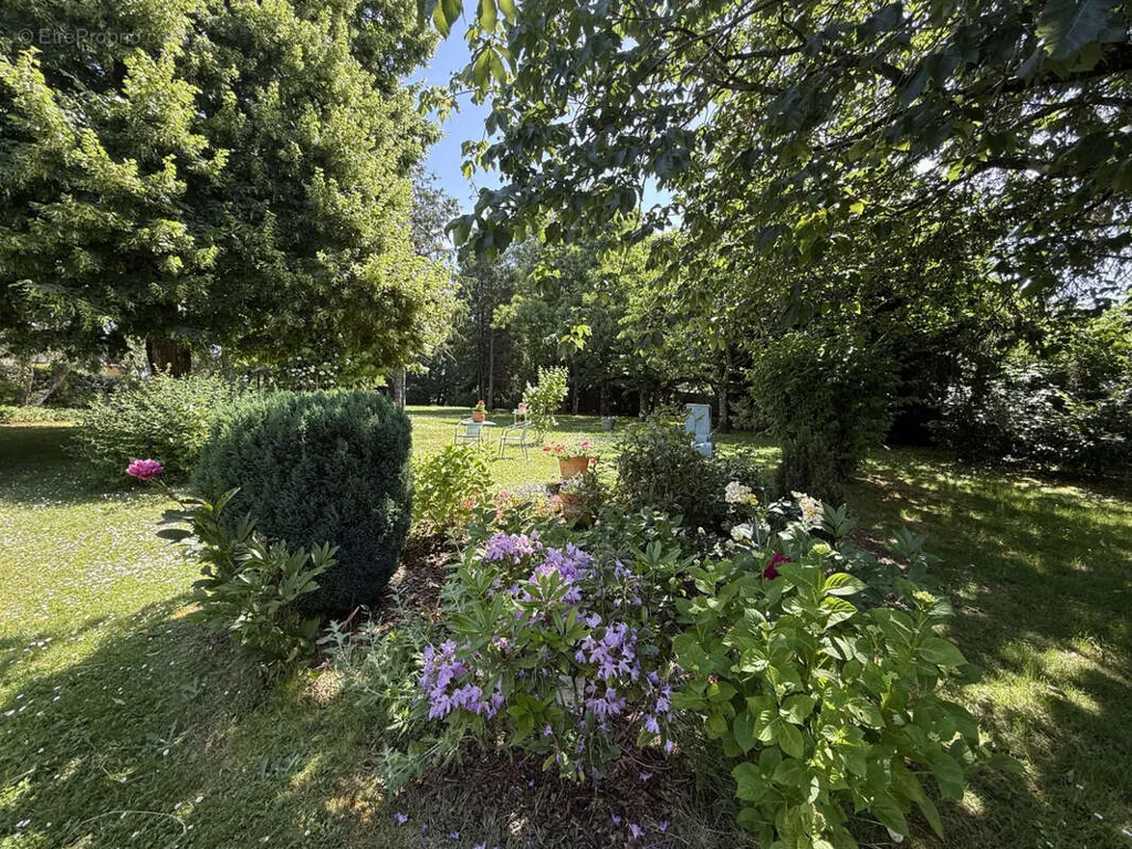 Jardin - Maison Rénovée avec Parc à Crezancy-En-Sancerre