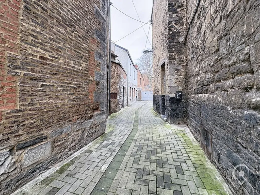 Jardin - Appartement Duplex Rénové avec Châssis Double Vitrage à Jambes