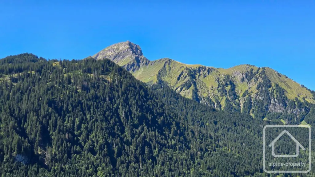 Modern Chalet with Panoramic Views in Petit Châtel